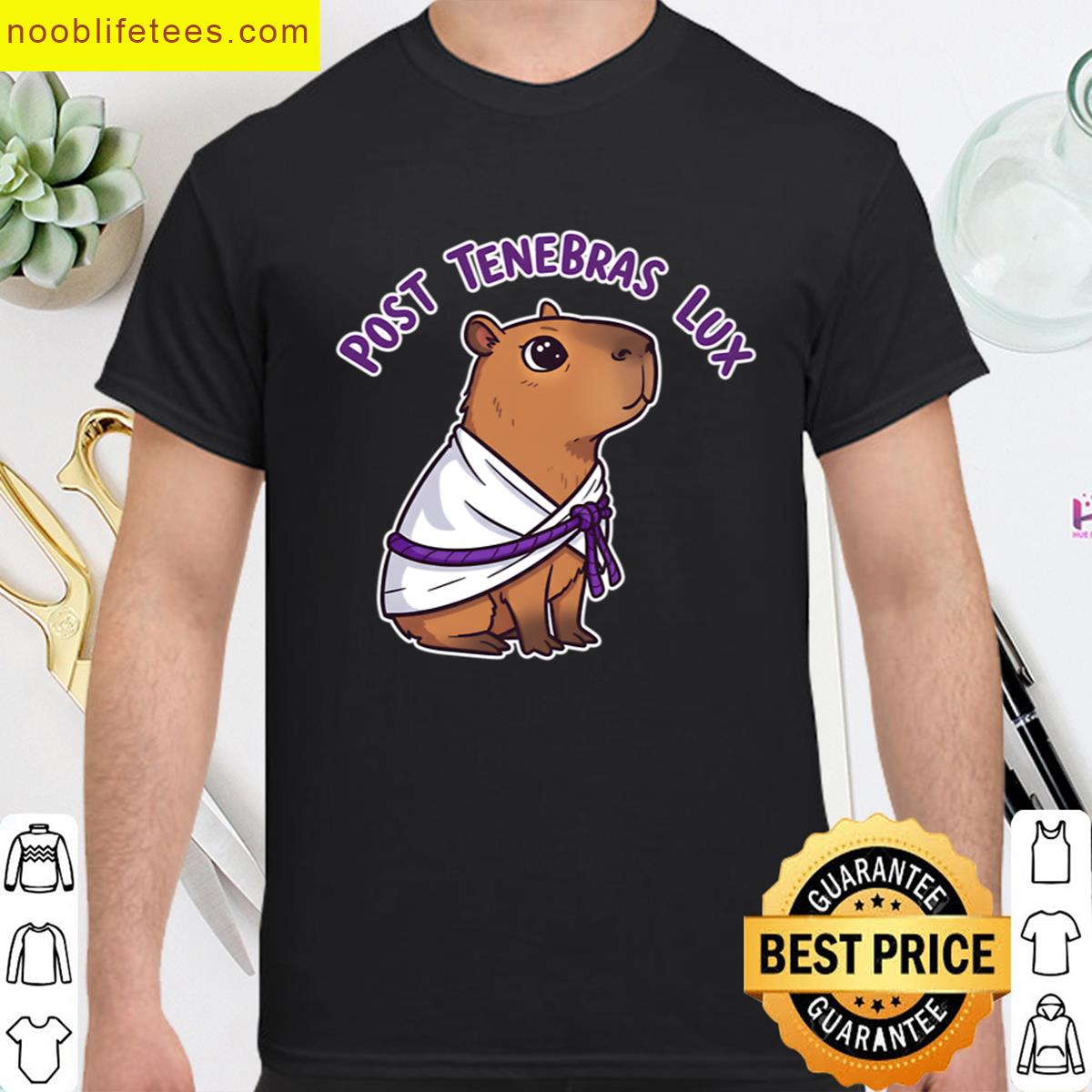 Capybara Toga Morning Vibes premium shirt