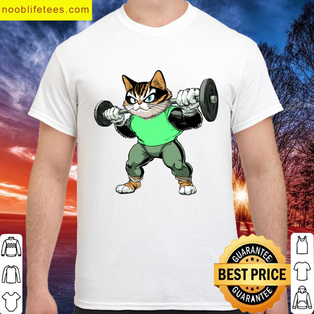 Cat Fitness premium shirt