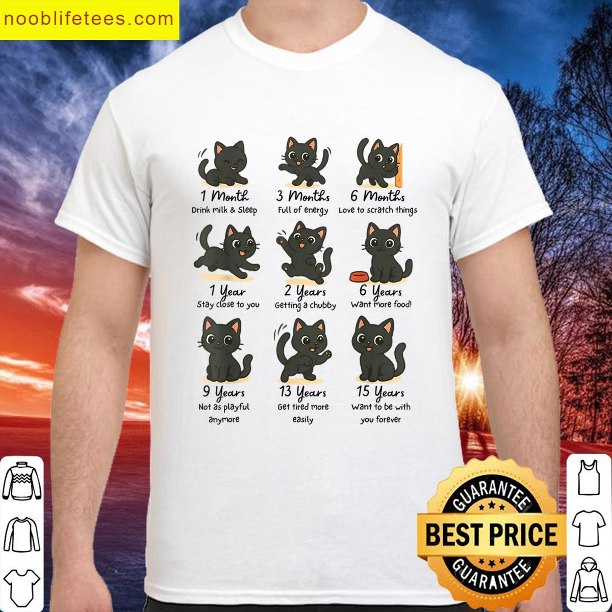 Cute Cat Growth Meme Black Kitten Chubby Paw Meow Cat Lover premium shirt