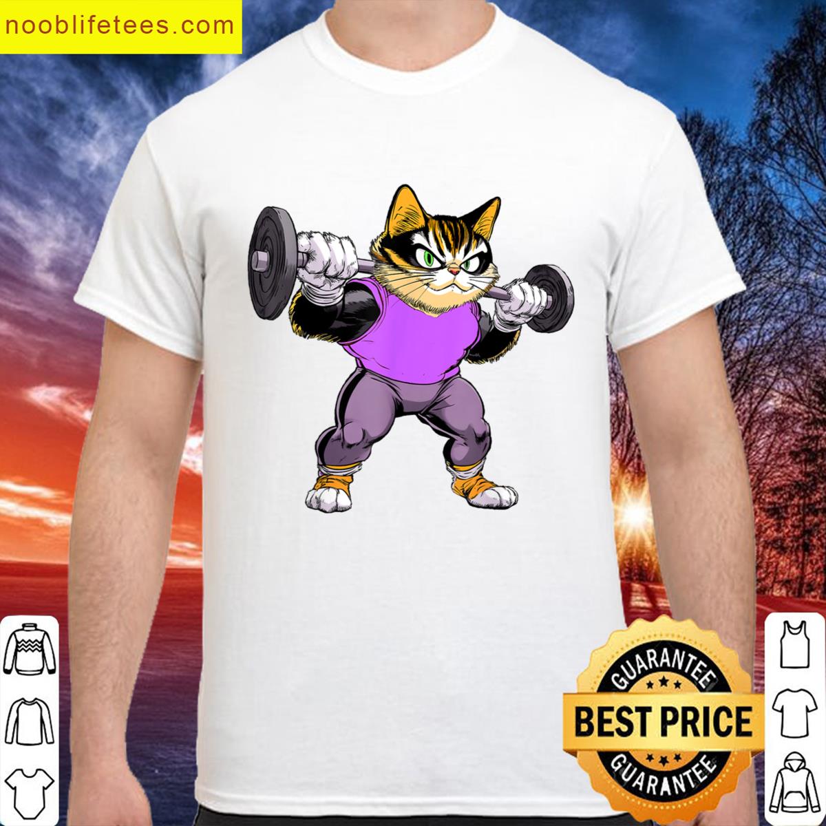Fitness Cats premium shirt