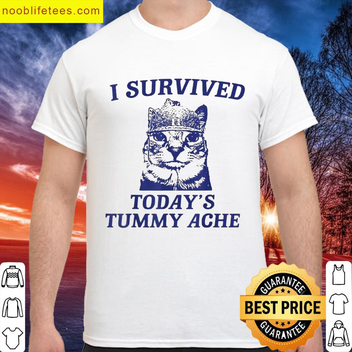 I Survived Todays Tummy Ache Funny Cat premium shirt