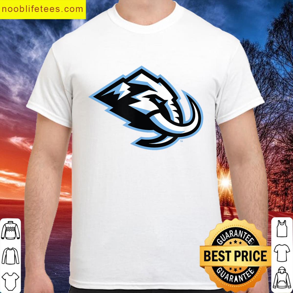 Icon Gray Nhl Officially Licensed premium shirt
